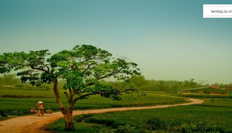 Lời Bài Hát Quê Hương