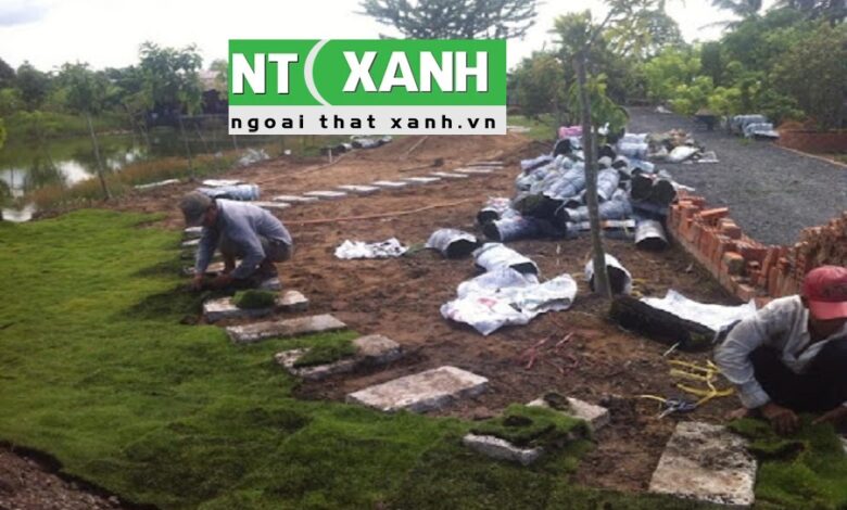 Dịch vụ trồng cỏ tại Dĩ An Bình Dương