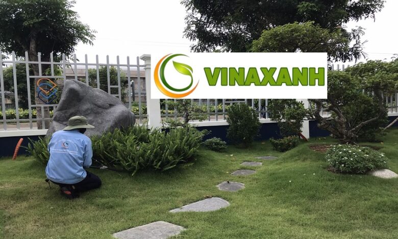 Dịch Vụ Chăm Sóc Cây Xanh Tại Quận 6 TP.HCM