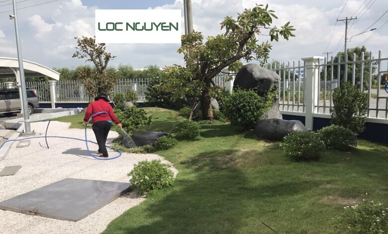 Công Ty Chăm Sóc Cây Xanh Bến Lức Long An