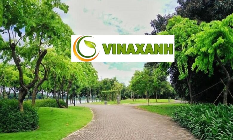 Dịch Vụ Cung Cấp Cây Xanh Tại TPHCM