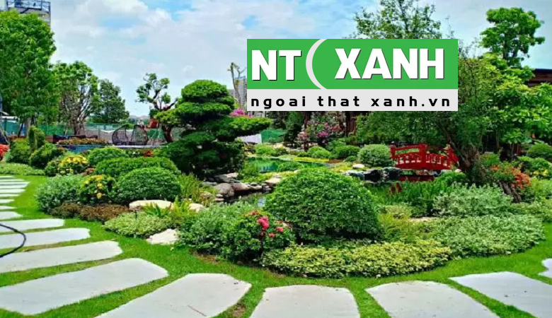 Dịch Vụ Trồng Cây Cảnh Tại Bình Dương