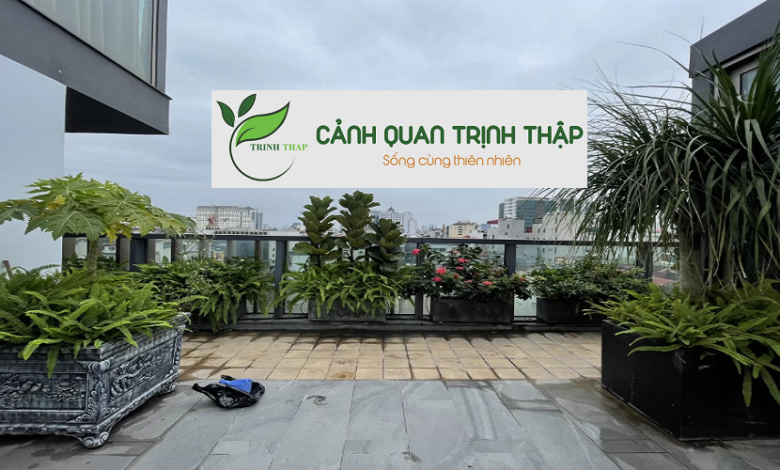 Thi Công Sân Vườn Tại Ba Đình Hà Nội