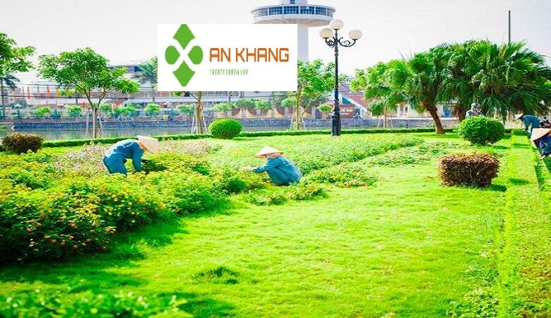 Chăm Sóc Cây Xanh Bình Dương