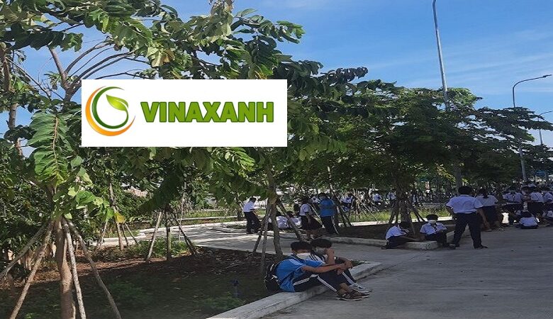 Trồng cây xanh tại quận 5 TPHCM
