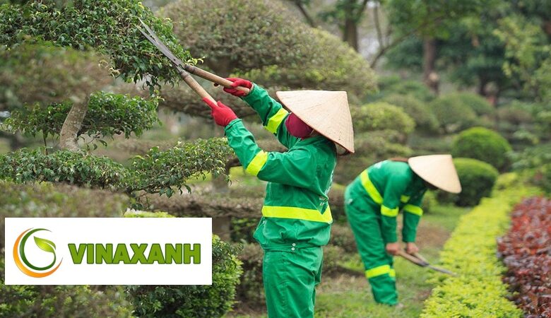 Chăm sóc cảnh quan tại TP.HCM