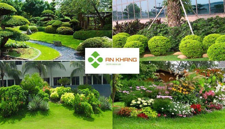 Chăm sóc cây xanh tại Bình Dương