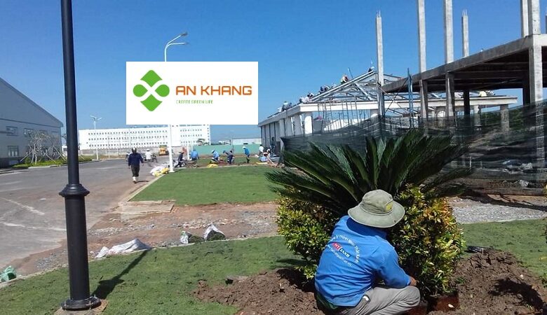 Chăm sóc cây xanh trong KCN Bình Dương