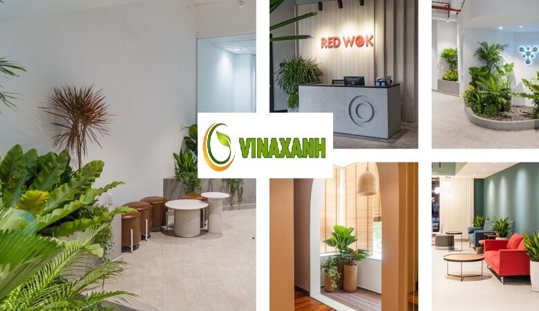 Cho Thuê Cây Cảnh Văn Phòng Tại TPHCM