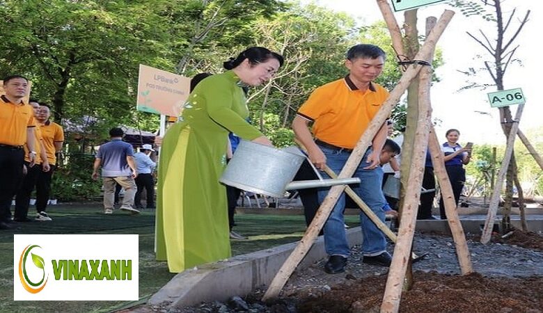 Trồng Cây Xanh Tại Quận 5 TP.HCM