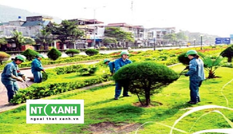 Chăm Sóc Cây Xanh Đà Lạt