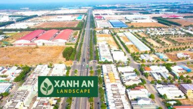 Công Ty Thiết Kế Cảnh Quan Bàu Bàng