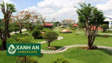Công ty thiết kế cảnh quan Tân Uyên