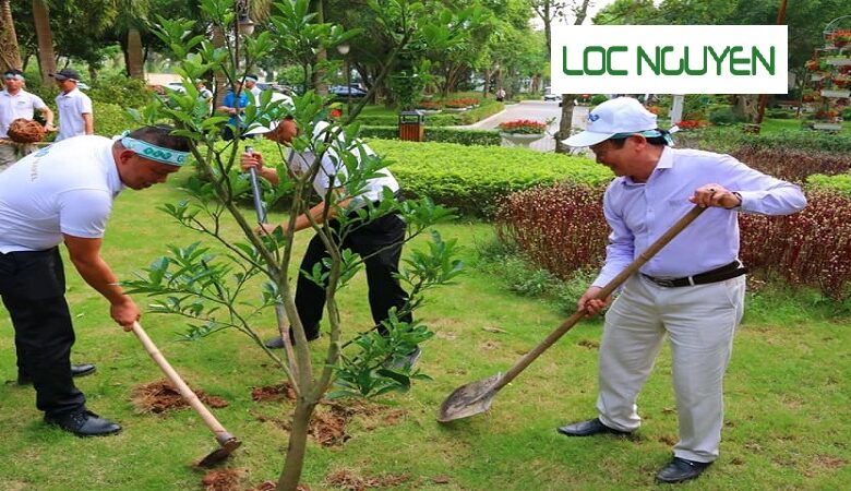Dịch Vụ Cây Xanh Long An