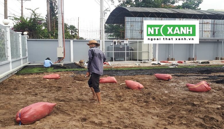 Dịch Vụ Trồng Cỏ Tại Bến Lức Long An