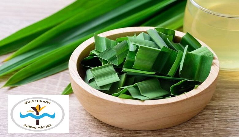 Tiểu đường nên uống lá gì? 13 loại lá trị tiểu đường hiệu quả