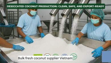 Bulk fresh coconut supplier Vietnam