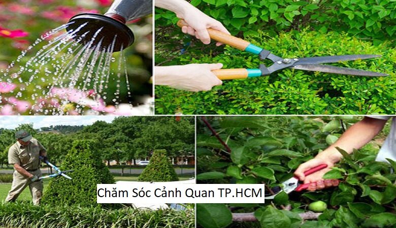 Chăm Sóc Cảnh Quan TP.HCM