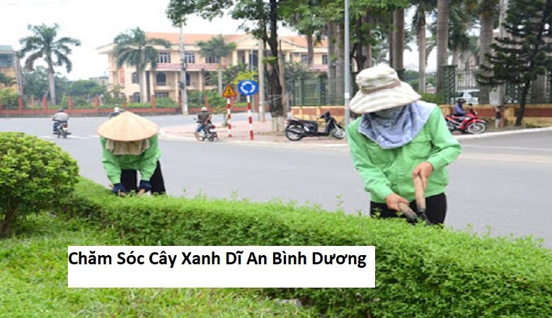 Chăm Sóc Cây Xanh Dĩ An Bình Dương