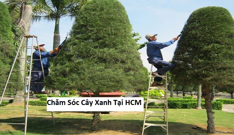 Chăm Sóc Cây Xanh Tại HCM