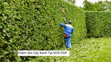 Chăm Sóc Cây Xanh Tại KCN VSIP