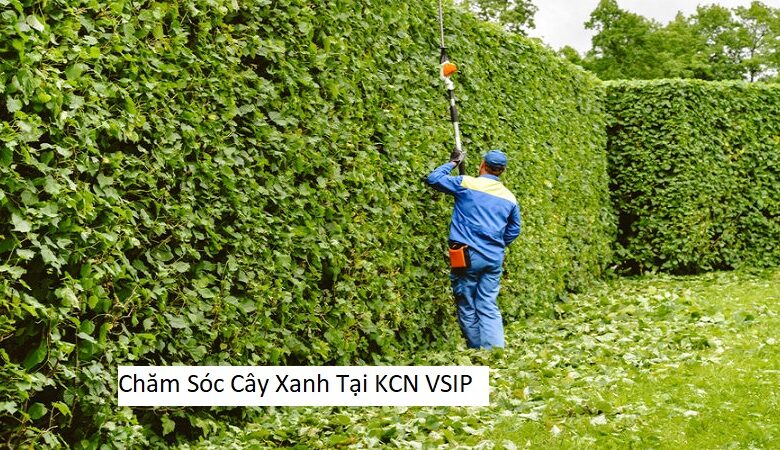 Chăm Sóc Cây Xanh Tại KCN VSIP