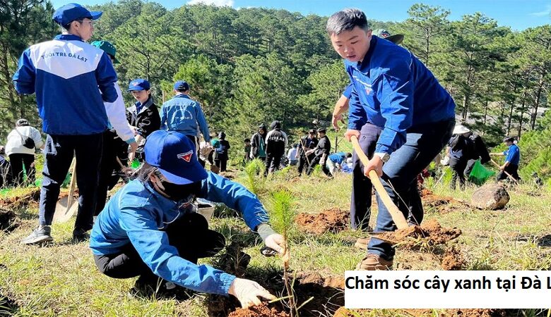 Chăm sóc cây xanh tại Đà Lạt