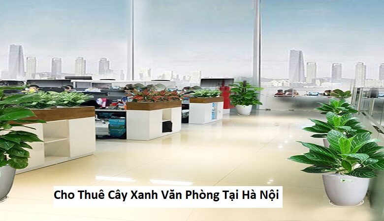 Cho Thuê Cây Xanh Văn Phòng Tại Hà Nội
