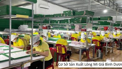 Cơ Sở Sản Xuất Lông Mi Giả Bình Dương