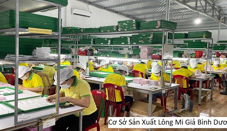 Cơ Sở Sản Xuất Lông Mi Giả Bình Dương