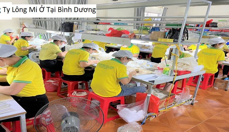 Công Ty Lông Mi Ở Tại Bình Dương