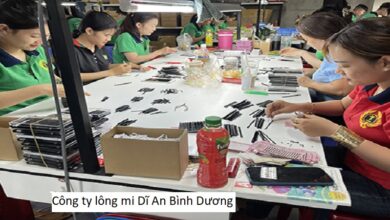 Công ty lông mi Dĩ An Bình Dương