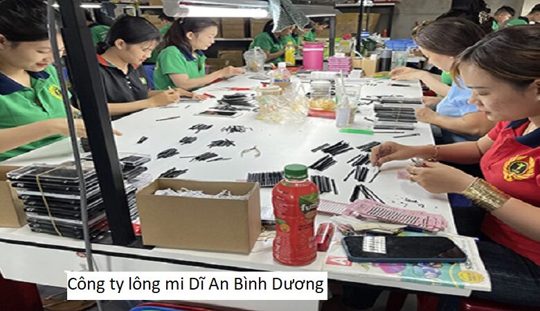 Công ty lông mi Dĩ An Bình Dương