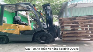 Đào Tạo An Toàn Xe Nâng Tại Bình Dương