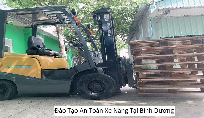 Đào Tạo An Toàn Xe Nâng Tại Bình Dương