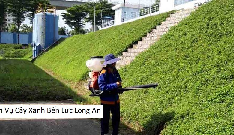 Dịch Vụ Cây Xanh Bến Lức Long An