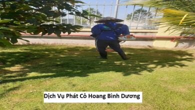 Dịch Vụ Phát Cỏ Hoang Bình Dương