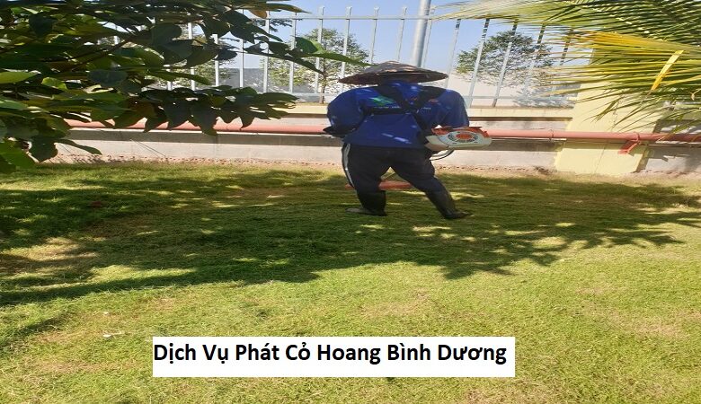 Dịch Vụ Phát Cỏ Hoang Bình Dương