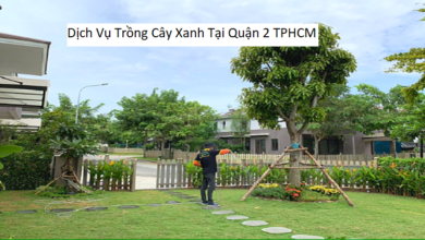 Dịch Vụ Trồng Cây Xanh Tại Quận 2 TPHCM