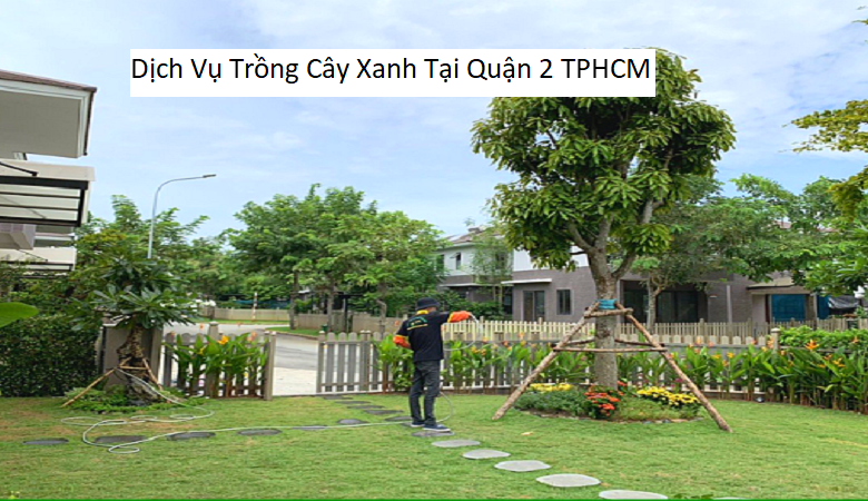 Dịch Vụ Trồng Cây Xanh Tại Quận 2 TPHCM