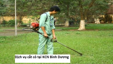 Dịch vụ cắt cỏ tại KCN Bình Dương