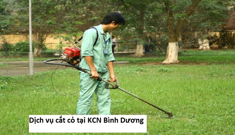 Dịch vụ cắt cỏ tại KCN Bình Dương
