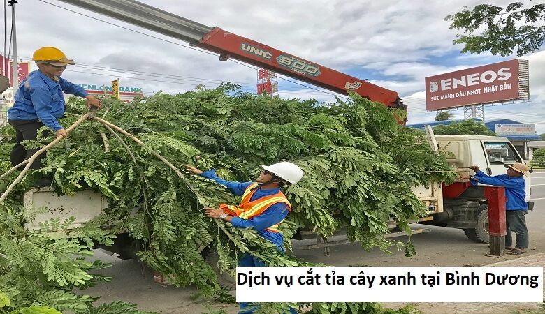 Dịch vụ cắt tỉa cây xanh tại Bình Dương