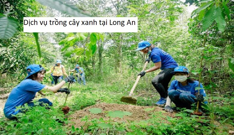 Dịch vụ trồng cây xanh tại Long An