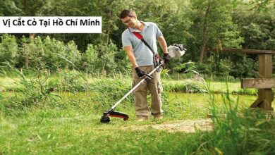 Đơn Vị Cắt Cỏ Tại Hồ Chí Minh
