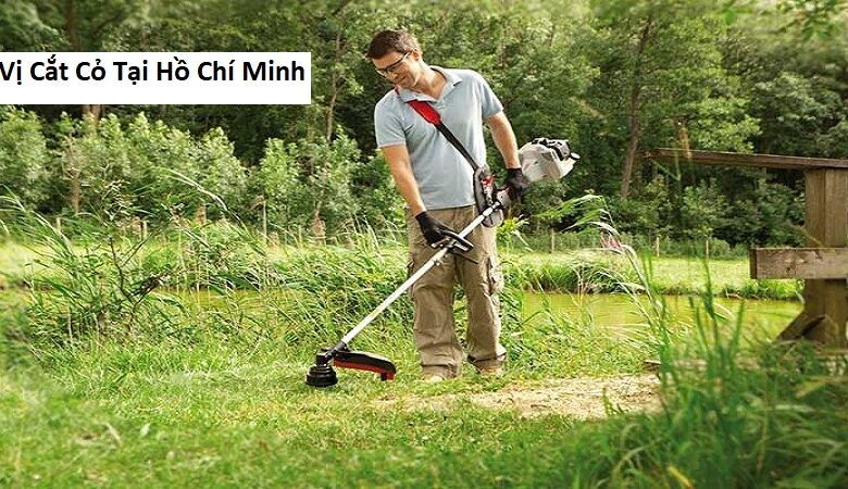 Đơn Vị Cắt Cỏ Tại Hồ Chí Minh