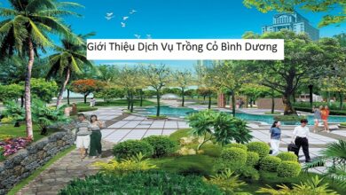 Giới Thiệu Dịch Vụ Trồng Cỏ Bình Dương