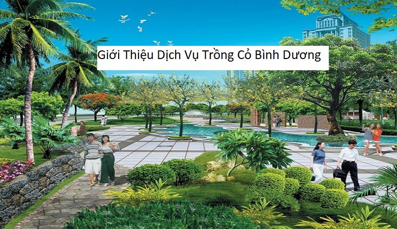 Giới Thiệu Dịch Vụ Trồng Cỏ Bình Dương
