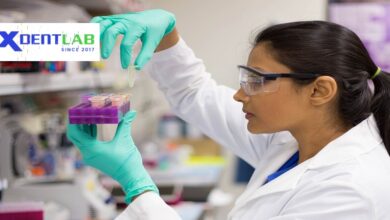 Lab to Lab Services