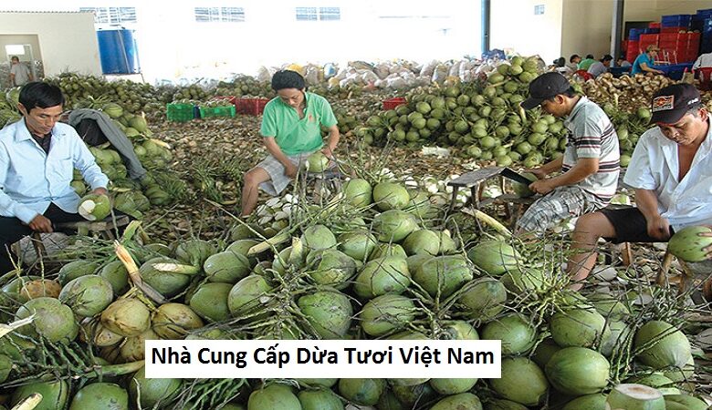 Nhà Cung Cấp Dừa Tươi Việt Nam